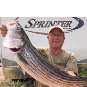 Meet your Posher, Tim